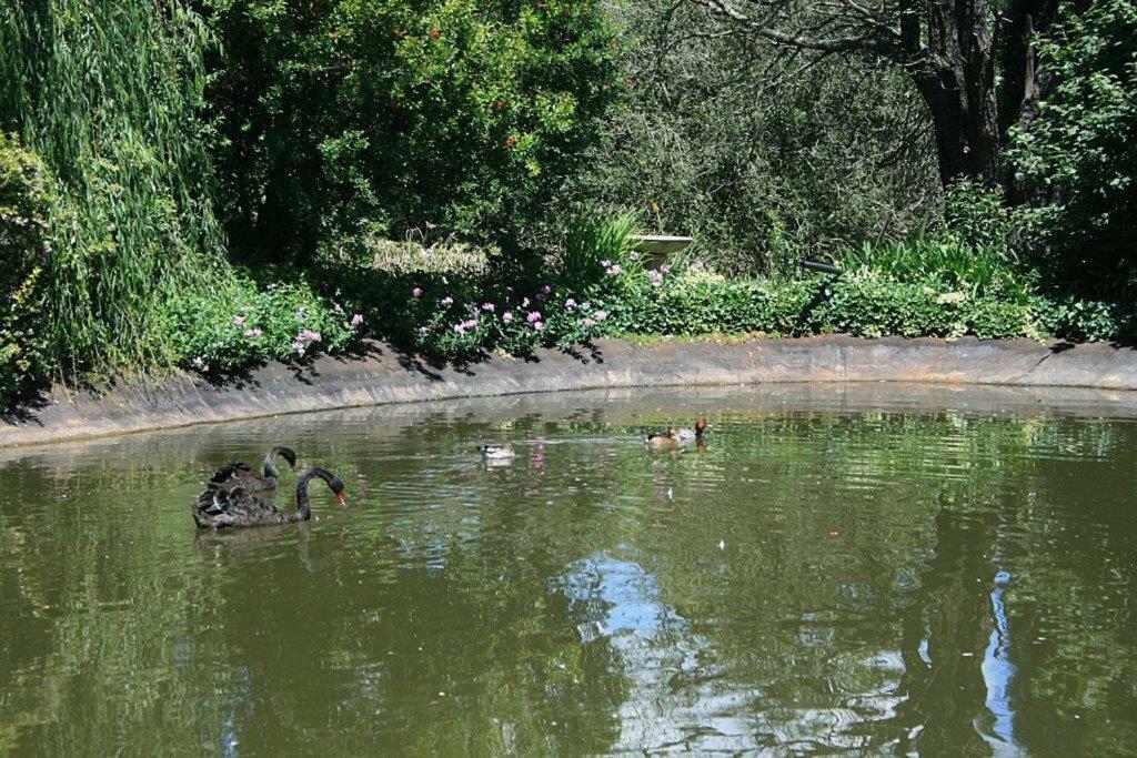 Drinkwater Guest Farm Grootgewaagd Luaran gambar